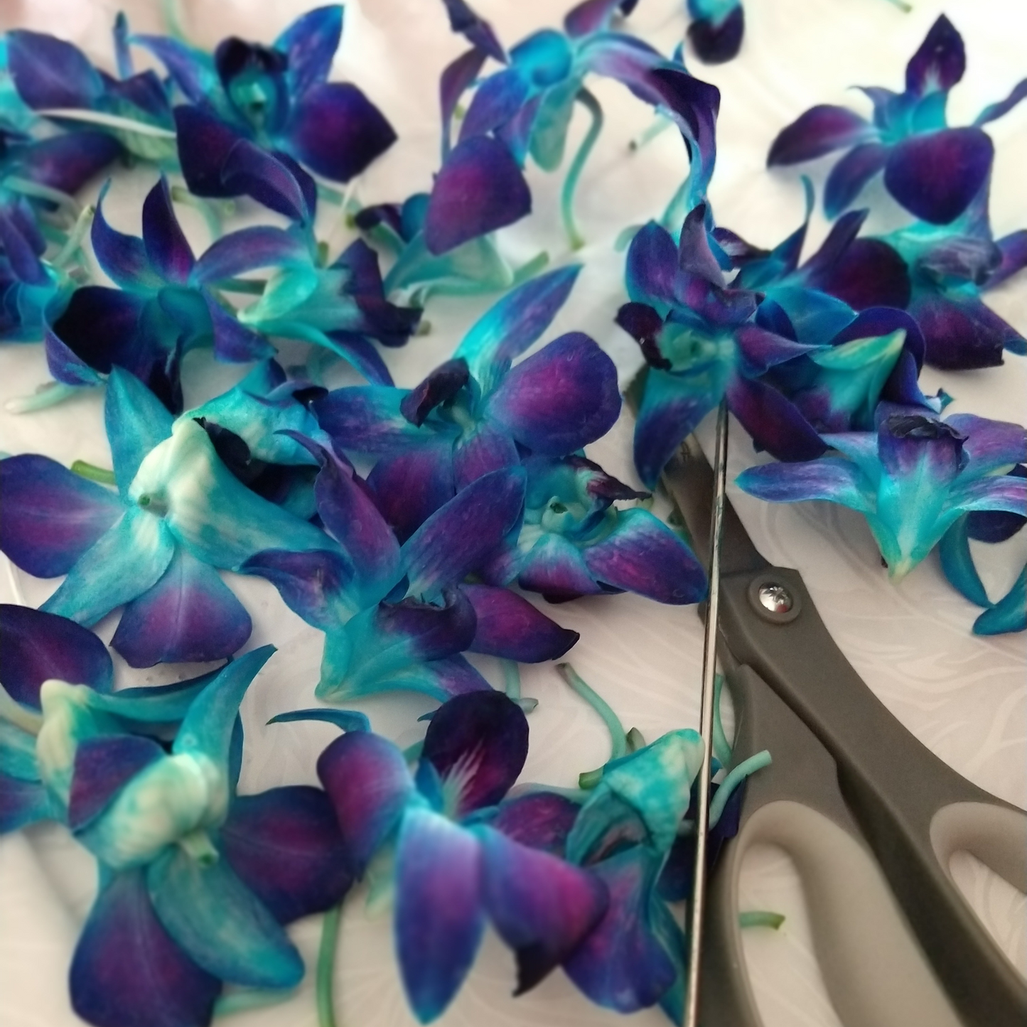 Shop beautiful Graduation Fresh Orchid Leis in a variety of vibrant colors. Handcrafted with care, our custom leis make your graduation unforgettable. Perfect for weddings, Luaua's, Birthdays, Retirement, Office gifting, Holiday Parties, Funeral, Promotion, & More. Order now before they’re gone! Handcrafted and strung in Arizona. Seasonal product-contact us for more info.