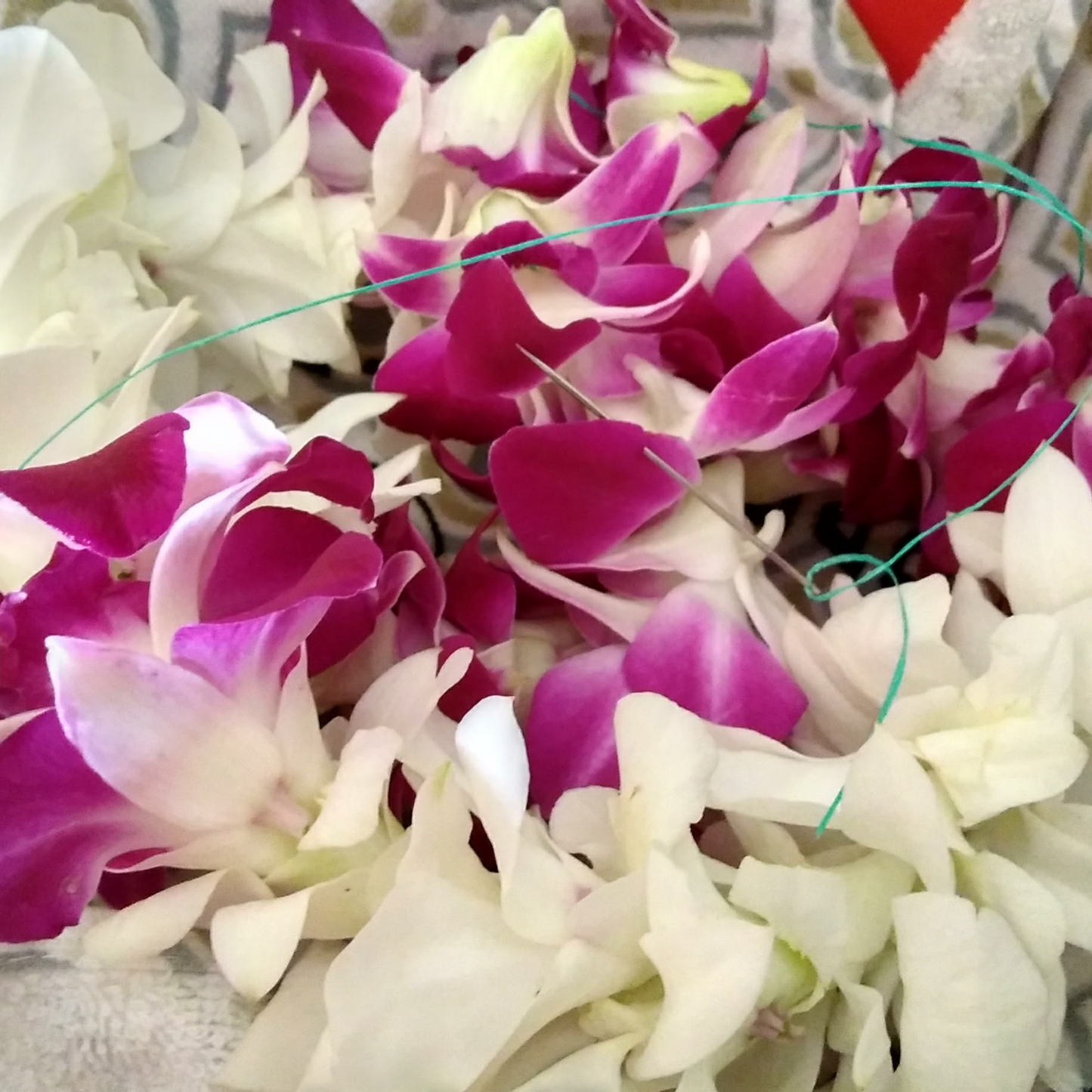 Getting ready to string these orchid leis. Handcrafted with care, our custom leis make your event unforgettable. Perfect for weddings, Luaua's, Birthdays, Retirement, Office gifting, Holiday Parties, Funeral, Promotion, & More. Handcrafted and strung in Arizona. Seasonal product-contact us for more info.
