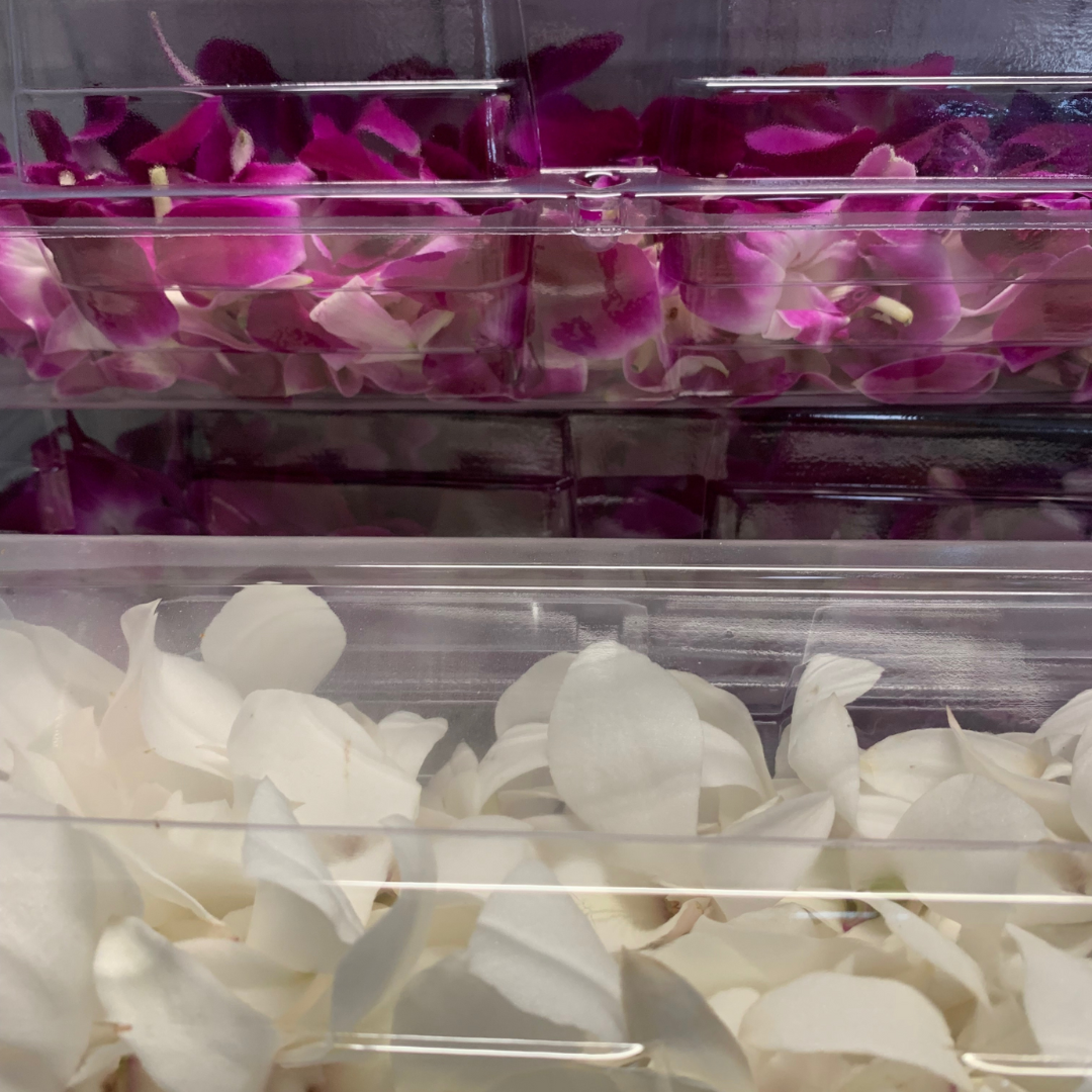 Orchid Lei - Graduation & Wedding