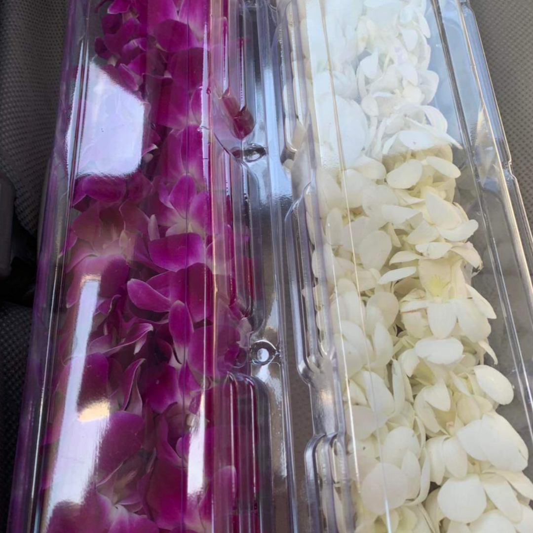 Orchid Lei - Graduation & Wedding