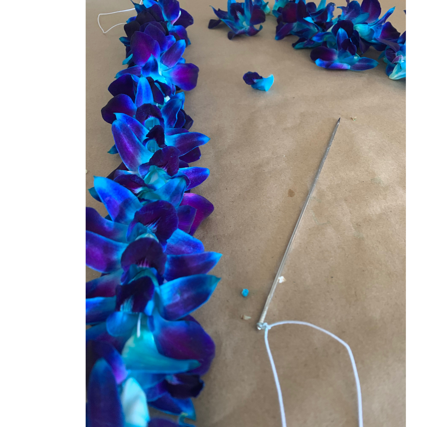 Graduation Orchid Leis-Special Events Of The Graduate