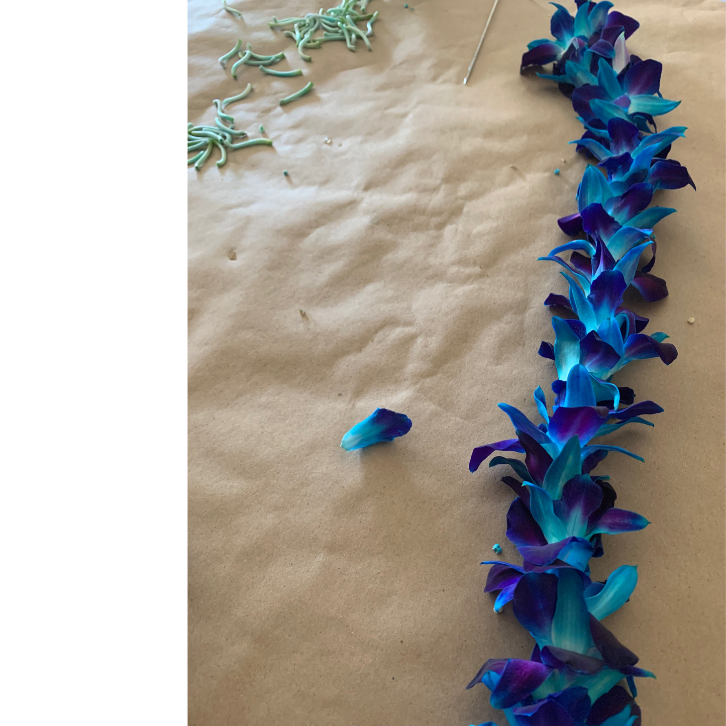 Graduation Orchid Leis-Special Events Of The Graduate