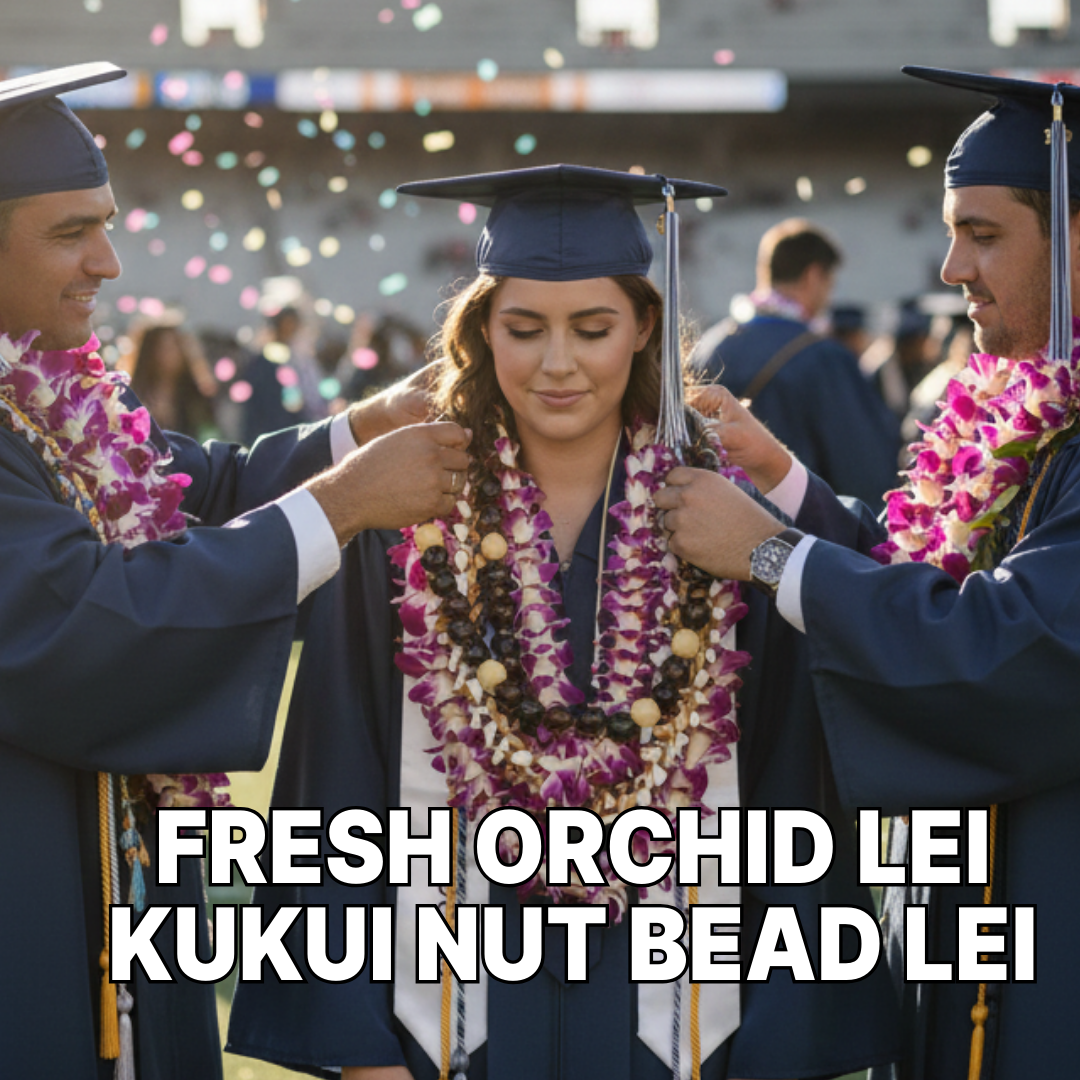 Graduation Kukui Nut Lei being placed on a graduate wearing a navy cap and gown with pink orchid leis at a graduation ceremony.