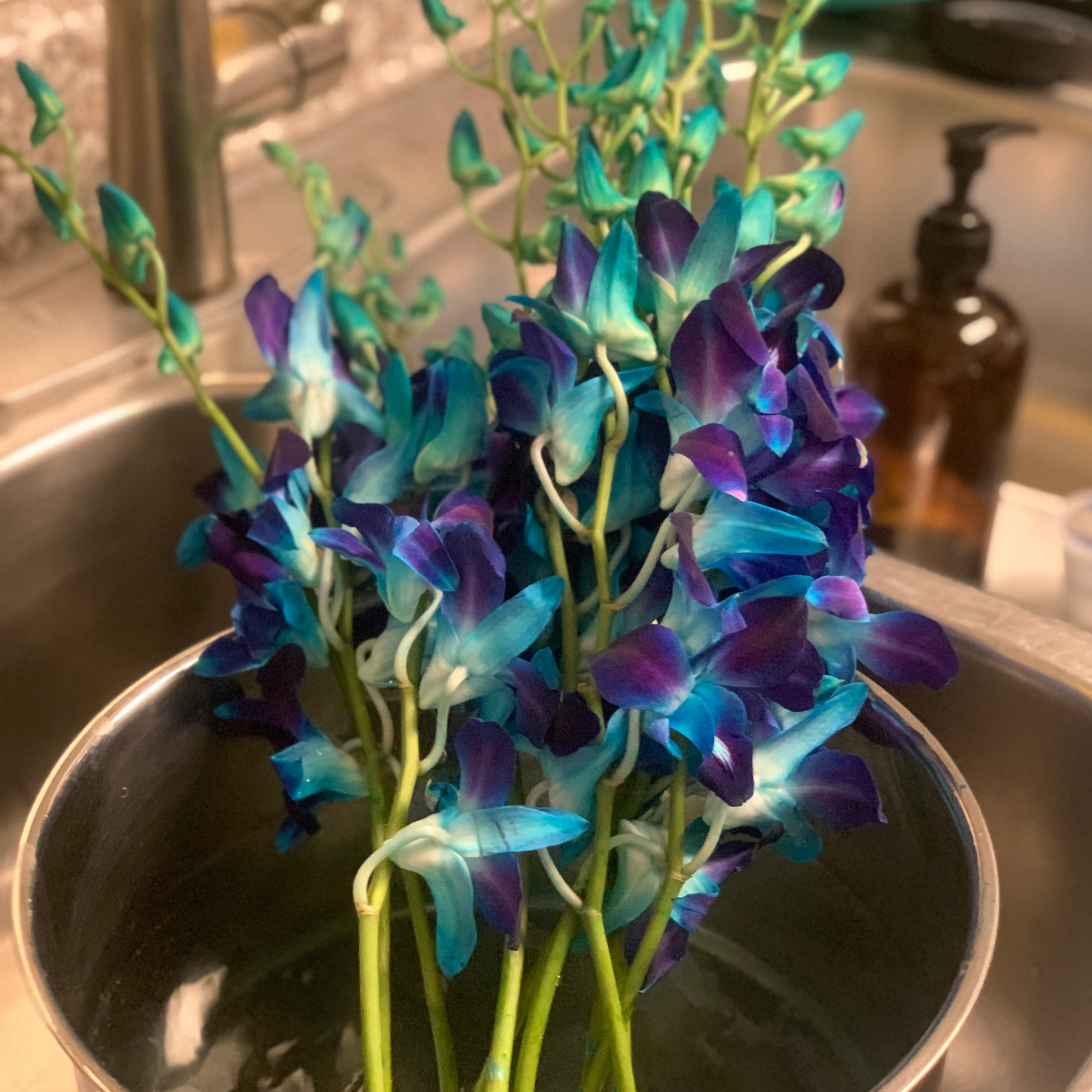 A close-up, top-down view of fresh, purple and white orchid head stems sitting in a mixing bowl, ready to be strung into leis for a wedding celebration - Simply Aloha On The Go
