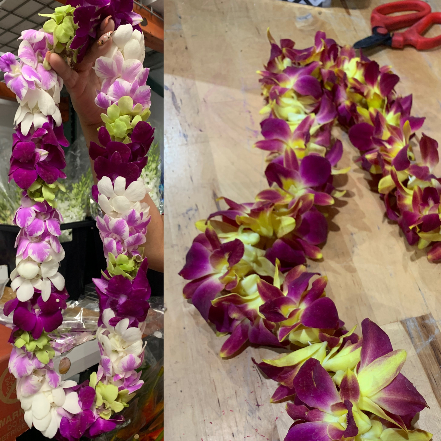 A close-up shot of several finished, multi-colored orchid leis laid out together Hand-strung fresh for graduation pick-up in Peoria Arizona