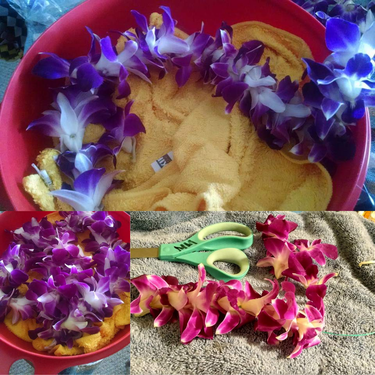 Getting ready to string these orchid leis. Handcrafted with care, our custom leis make your event unforgettable. Perfect for weddings, Luaua's, Birthdays, Retirement, Office gifting, Holiday Parties, Funeral, Promotion, & More. Handcrafted and strung in Arizona. Seasonal product-contact us for more info.