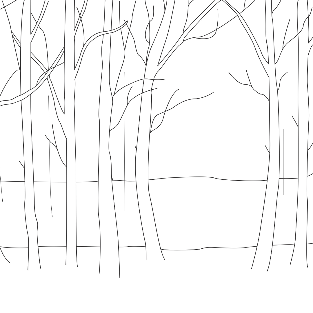 Peaceful Fall Forest DIY paint kit tracer, pre-outlined canvas with bare tree silhouettes